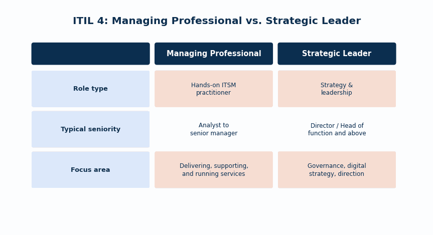Simple comparison table contrasting Managing Professional and Strategic Leader across role type, typical seniority, and focus area