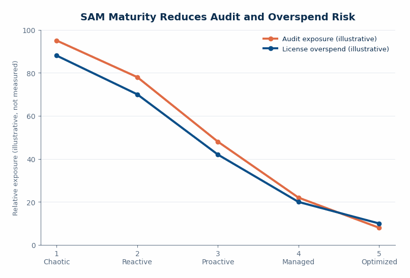 Illustrative line chart (not real company data) with SAM maturity level (1 to 5) on the x-axis and two descending curves on the y-axis labeled "audit 